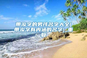 带浚字的男孩名字大全(带浚字有内涵的名字)_重复