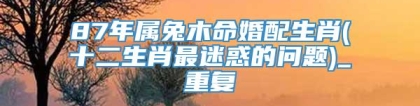 87年属兔木命婚配生肖(十二生肖最迷惑的问题)_重复