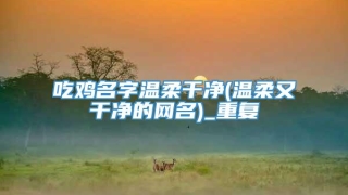 吃鸡名字温柔干净(温柔又干净的网名)_重复