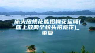 床头放桃花能招桃花运吗(床上放两个枕头招桃花)_重复