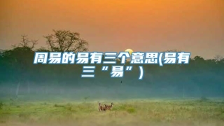 周易的易有三个意思(易有三“易”)