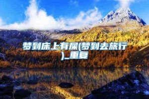 梦到床上有屎(梦到去旅行)_重复