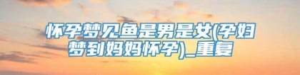 怀孕梦见鱼是男是女(孕妇梦到妈妈怀孕)_重复
