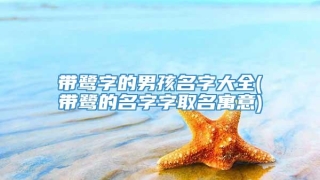 带鹭字的男孩名字大全(带鹭的名字字取名寓意)