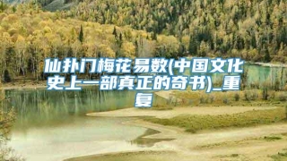 仙扑门梅花易数(中国文化史上一部真正的奇书)_重复