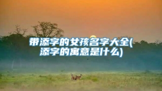 带添字的女孩名字大全(添字的寓意是什么)