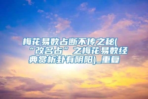 梅花易数占断不传之秘(“改名占”之梅花易数经典赏析卦有阴阳)_重复