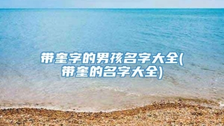 带奎字的男孩名字大全(带奎的名字大全)