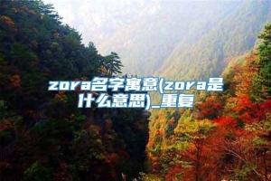 zora名字寓意(zora是什么意思)_重复