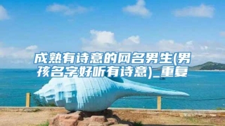 成熟有诗意的网名男生(男孩名字好听有诗意)_重复