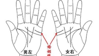 看手相分男左女右吗(手相是男左女右吗)