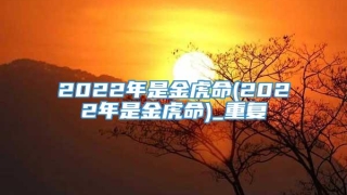 2022年是金虎命(2022年是金虎命)_重复