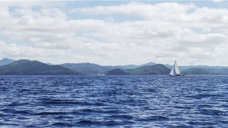 2020年生肖马每月运程(2020年运势 马人)_重复