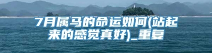 7月属马的命运如何(站起来的感觉真好)_重复