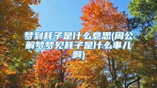 梦到耗子是什么意思(周公解梦梦见耗子是什么事儿啊)