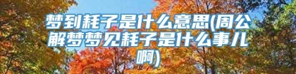 梦到耗子是什么意思(周公解梦梦见耗子是什么事儿啊)