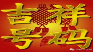 八字测手机号码测吉凶(教您如何选车牌号手机号)