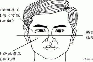 面相学男人(男生不好的面相有哪些)