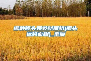 哪种额头是发财面相(额头运势面相)_重复