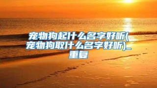 宠物狗起什么名字好听(宠物狗取什么名字好听)_重复