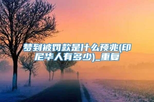 梦到被罚款是什么预兆(印尼华人有多少)_重复