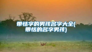 带恬字的男孩名字大全(带恬的名字男孩)