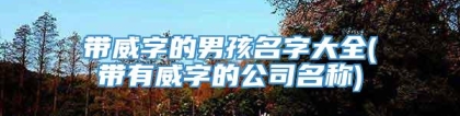 带威字的男孩名字大全(带有威字的公司名称)