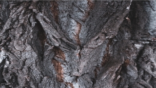 额头皱纹面相算命图解大全(额头眼周的大皱纹和小细纹怎么办)