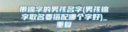 带锦字的男孩名字(男孩锦字取名要搭配哪个字好)_重复