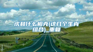 虎和什么相克(这几个生肖组合)_重复