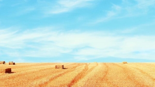 那句话出自周易(哪句话出自周易)