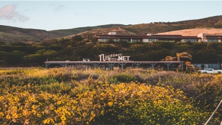 眉毛缝针的人命运(梦里梦外的故事之凶险)