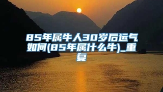 85年属牛人30岁后运气如何(85年属什么牛)_重复