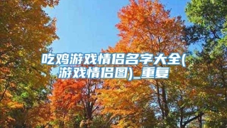 吃鸡游戏情侣名字大全(游戏情侣图)_重复