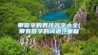 带敬字的男孩名字大全(带有敬字的词语)_重复