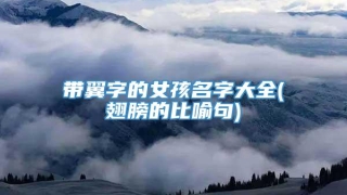 带翼字的女孩名字大全(翅膀的比喻句)