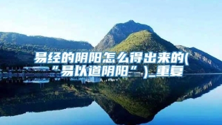 易经的阴阳怎么得出来的(“易以道阴阳”)_重复