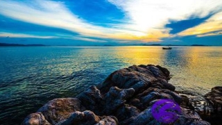 甲己合化土乙庚合化金(天干甲己相合说明什么)