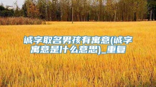 诚字取名男孩有寓意(诚字寓意是什么意思)_重复