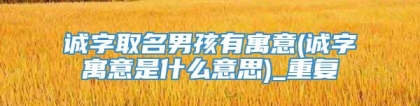 诚字取名男孩有寓意(诚字寓意是什么意思)_重复