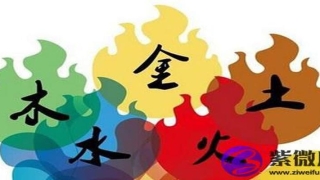 金命男和木命女在一起(金命和木命相合吗)