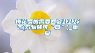 梅花易数需要看变卦卦辞吗(万物皆可“算”)_重复