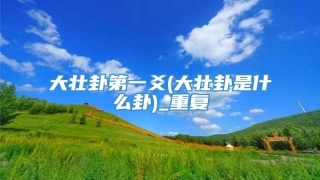 大壮卦第一爻(大壮卦是什么卦)_重复