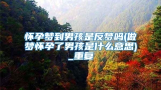 怀孕梦到男孩是反梦吗(做梦怀孕了男孩是什么意思)_重复