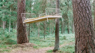 87年属猪最佳婚配(十二生肖最佳婚配)