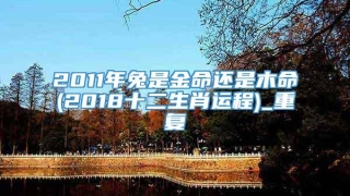2011年兔是金命还是木命(2018十二生肖运程)_重复