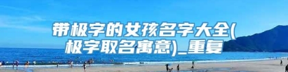 带极字的女孩名字大全(极字取名寓意)_重复