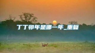丁丁卯年是哪一年_重复