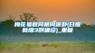 梅花易数同根同源卦(日照新增3例确诊)_重复