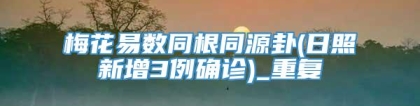 梅花易数同根同源卦(日照新增3例确诊)_重复